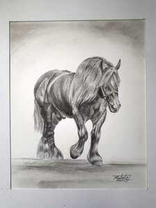  pencil sketch art cold . horse (.....)