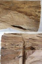 木材・香木の白檀・丸太・重さ約６１６０グラム・長さ約４２．５センチ_画像8