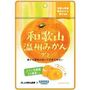 グミ 乳酸菌入り 和歌山温州みかんグミ カネカ食品 美味しい スッキリ 甘酸が効いた甘味 さわやかな味わい 果汁ジュレ