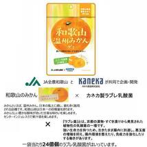 グミ 乳酸菌入り 和歌山温州みかんグミ カネカ食品 美味しい スッキリ 甘酸が効いた甘味 さわやかな味わい 果汁ジュレ_画像2