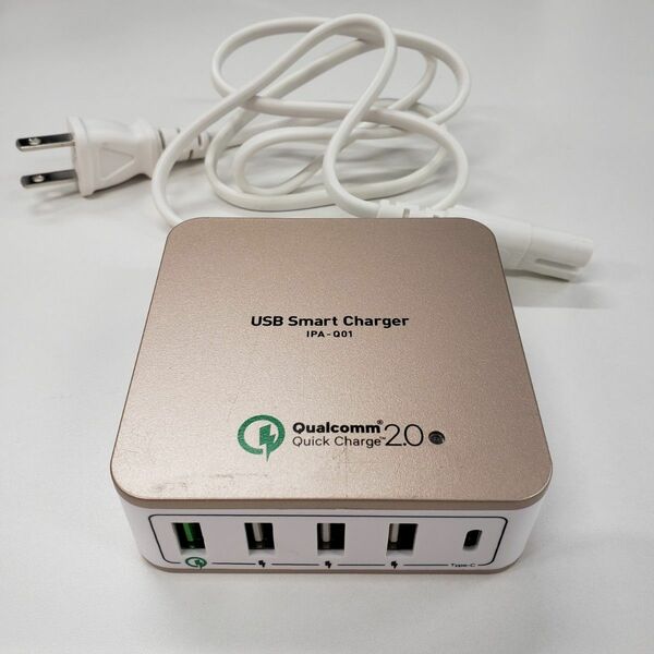 高出力対応USB-ACアダプタ 5ポートタイプ [IPA-Q01]