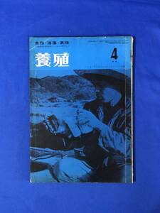 CB942B●養殖 第3巻第4号 昭和41年4月号 緑書房 魚類・海草・真珠の実際家・研究家のための専門誌 綱生簀によるうなぎの飼育