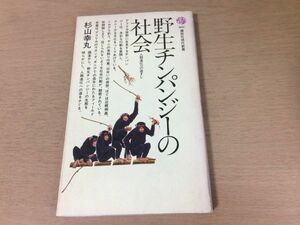 ●P096●野生チンパンジーの社会●杉山幸丸●人類進化への道すじ●アフリカウガンダギニア●講談社現代新書●即決