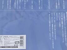 HJ文庫 精霊幻想記 メロンブックス GW2021 グッズセット 書き下ろしSS入りクリアファイル／北山結莉 Riv_画像2