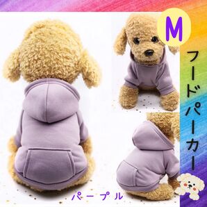 柔らかスウェット フードパーカー パープル M サイズ 犬服 ドッグウェア ペット用品