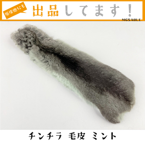 【チンチラ】 毛皮 リアルファー 原皮 ミント色 薄緑 1枚 ハンドメイド ファー クラフト素材 生地 ふわふわ 小物 材料 インテリア 送料無料