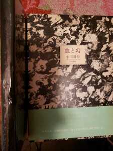 〈初版・帯〉【血と幻】小川国夫 昭和54年 箱付 小沢書店　【管理番号G3CP本302⑥】