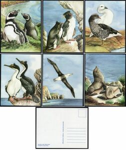  picture postcard H228 Fork Land various island animal bird penguin duck me. seal 6 kind collection unused 