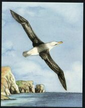 絵はがき H228 フォークランド諸島 動物 鳥 ペンギン カモメ 鵜 アザラシ 6種組 未使用_画像6