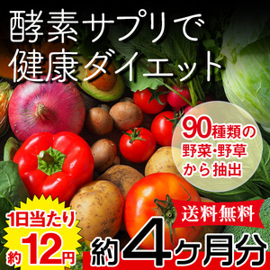 野菜酵素 野草酵素 サプリ ダイエット 国産 日本製 サプリメント 送料無料 大量 約4ヵ月分〔120日分×1袋〕〔メール便〕