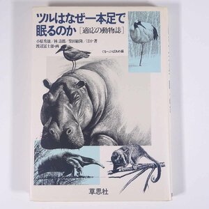 ツルはなぜ一本足で眠るのか 適応の動物誌 渡辺冨士雄 草思社 1984 単行本 生物学 動物学