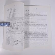 東雲神社遺跡 松山市文化財調査報告書79 愛媛県 埋蔵文化財センター 2001 大型本 郷土本 考古学 遺跡 遺構 遺物 図版_画像6