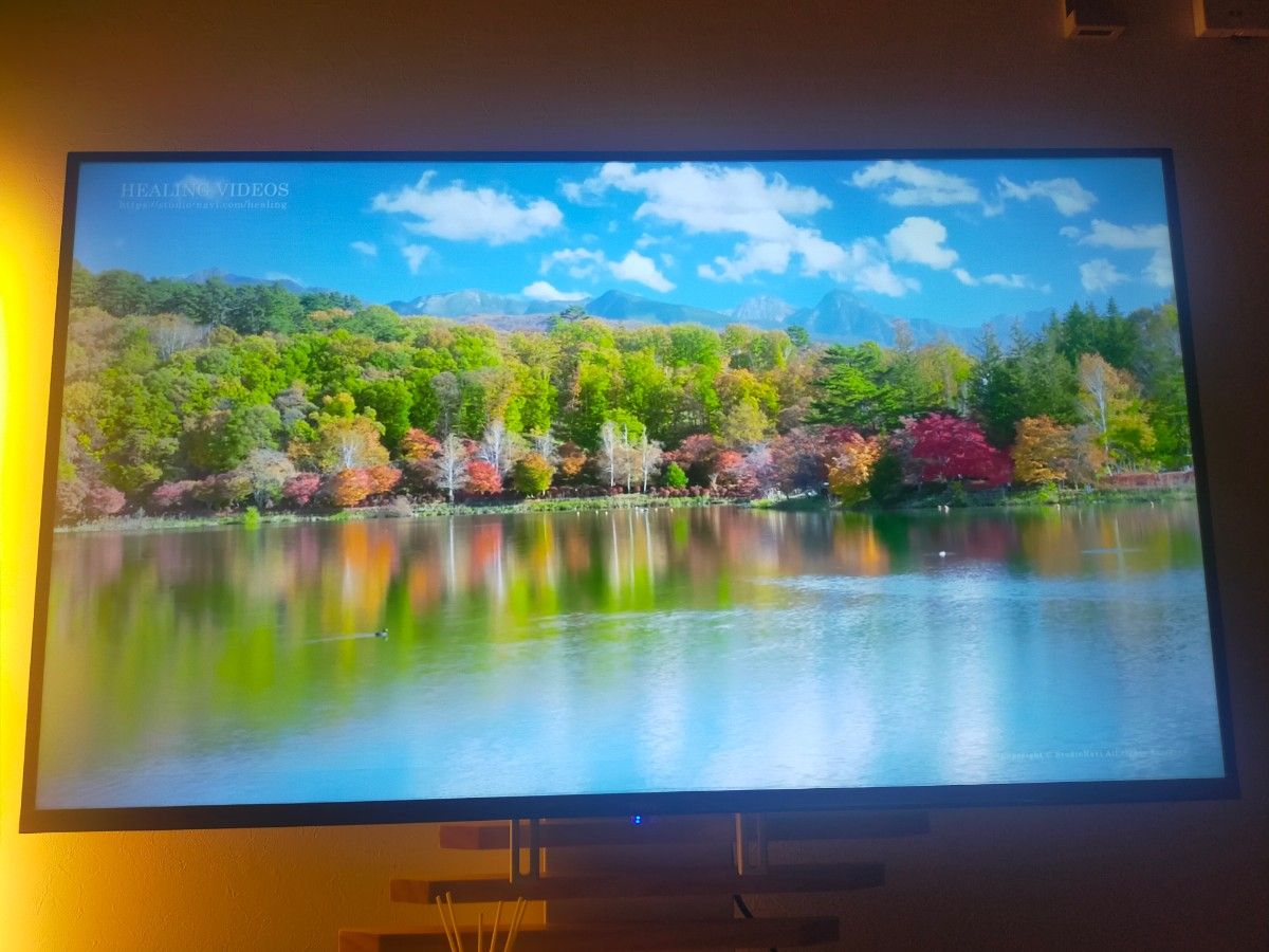 5%OFF】【5%OFF】4K 液晶テレビHisense A6H SERIES 50V型 映像機器