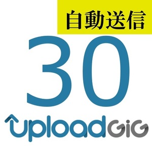 [ automatic sending ]UploadGiG premium 30 days general 1 minute degree . automatic sending does 