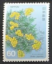 日本切手ー未使用 1985年「高山植物シリーズ」第4集　ナンブイヌナズナ　60円　1枚　_画像3