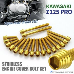 Z125 PRO BR125 エンジンカバーボルト 18本セット ステンレス製 テーパーシェルヘッド カワサキ車用 ゴールドカラー TB8027