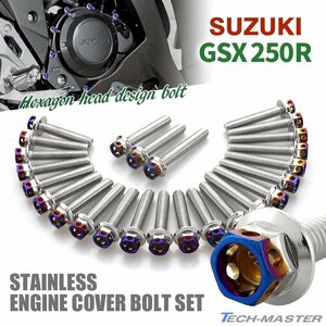 GSX250R エンジンカバー クランクケース ボルト 25本セット ステンレス製 ヘキサゴンヘッド シルバー×焼きチタンカラー TB9034