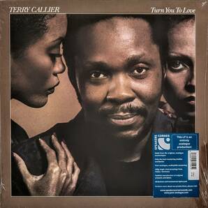 Terry Callier テリー・キャリアー - Turn You To Lovel 限定リマスター再発Audiophileアナログ・レコード
