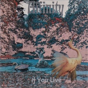 Affinity アフィニティー - If You Live CD