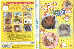 ■C7749 R落DVD「すき★すき ハムスター」ケース無し レンタル落ち