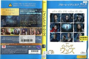 ■C7844 R落BD「イントゥ・ザ・ウッズ」ケース無し メリル・ストリープ/ジョニー・デップ レンタル落ち