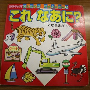 特3 72878★ / これ なあに? なまえがいっぱい 2006年11月25日発行 BCキッズ はじめての ずかんえほん 8 講談社