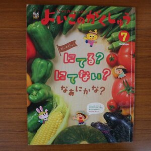 特3 72897★ / よいこのがくしゅう 2019年7月号 似てる? 似てない? なあにかな? ピーマン トマト おいしい料理 夏野菜カレー 肉詰め サラダ