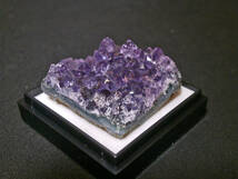 天然鉱物標本 アメジスト(紫水晶) 誕生石 プラケース入 ウルグアイ産(4)_画像5
