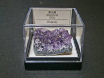 天然鉱物標本 アメジスト(紫水晶) 誕生石 プラケース入 ウルグアイ産(4)_画像6