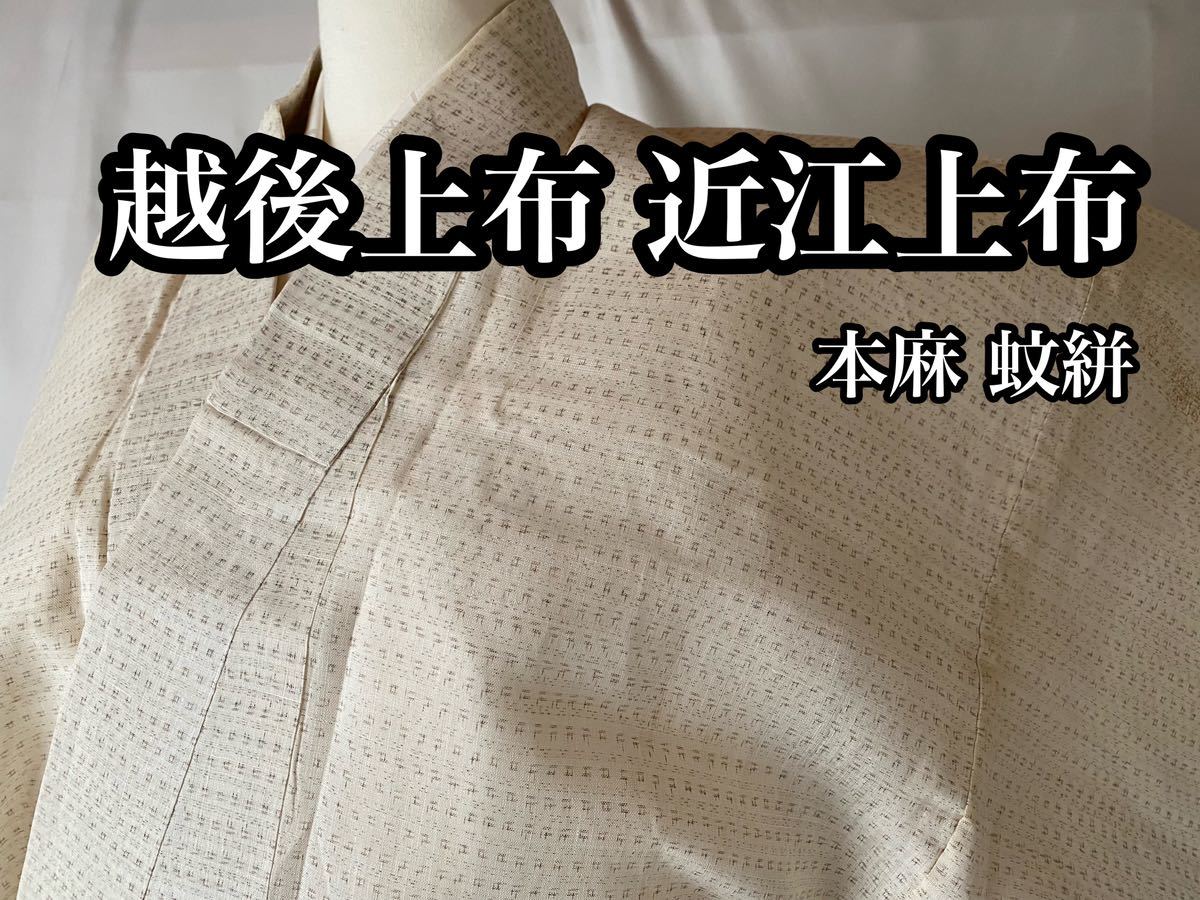 公式限定新作/送料無料 伝統工芸士 曽根武勇 訪問着 お召地 間道 m