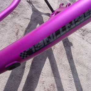 DA BOMB SENTINEL 29er Boost Msizeの画像3