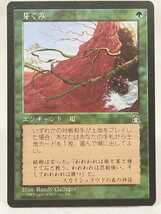 MTG 日本語版 芽ぐみ　Burgeoning　STH_画像1