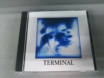 遠藤ミチロウ CD TERMINAL_画像1