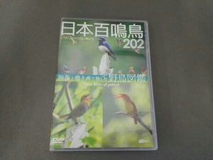 DVD 日本百鳴鳥 202 映像と鳴き声で愉しむ野鳥図鑑