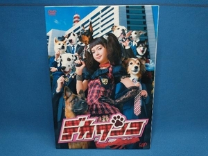 DVD デカワンコ DVD-BOX　多部未華子　日本テレビ