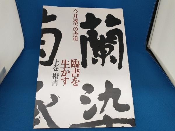 大人気新品 図録 書道 今井凌雪 作品集 - www.annuaire-traducteur