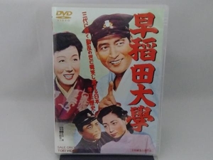 DVD 早稲田大学
