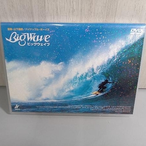 【完品】DVD Big Wave マーク・リチャーズ 音楽監督・山下達郎 PCBH50151の画像1