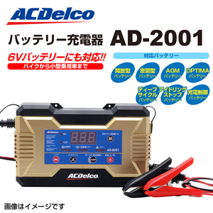 AD-2001 ACDelco for automobile * battery for motorcycle charger free shipping 