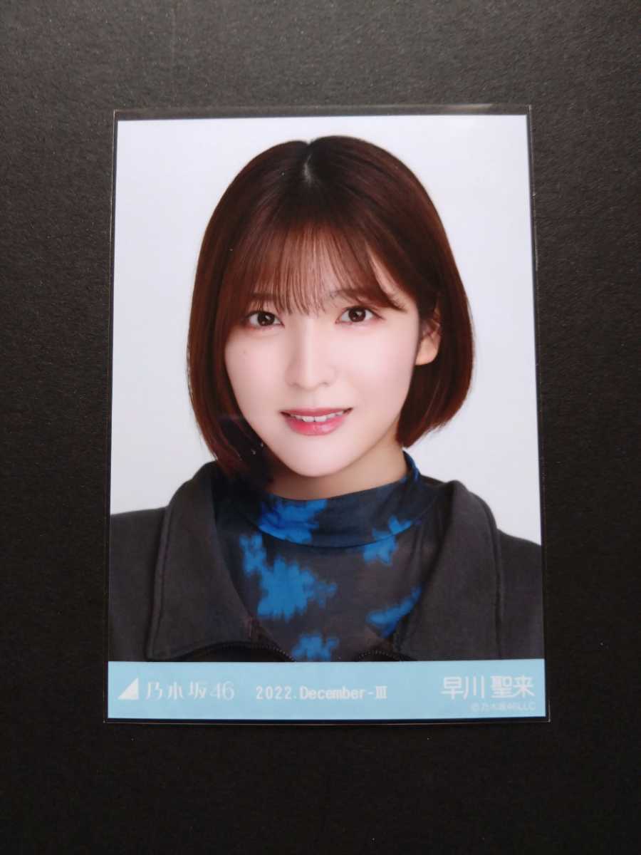 乃木坂46 太陽ノック 秘蔵生写真 直筆サイン入り 当選品 堀未央奈 希少