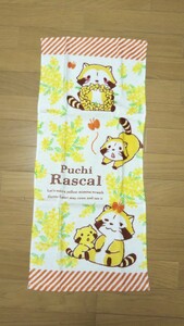  Rascal the Raccoon face towel 