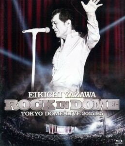 ROCK IN DOME [Blu-ray]