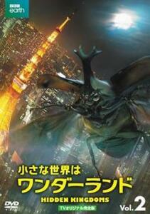 小さな世界はワンダーランド TVオリジナル完全版 2(第3話 最終) レンタル落ち 中古 DVD