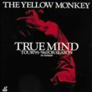 TRUE MIND TOUR ’95～’96 FOR SEASON:in motion [DVD]（中古品）