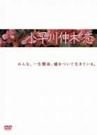 小早川伸木の恋 DVD-BOX（中古品）