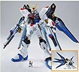 【ガンダムフロント東京限定】HG 1/144 ZGMF-X20A ストライクフリーダムガ