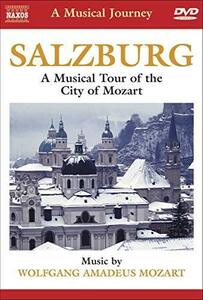 Musical Journey: Salzburg City of Mozart [DVD] [Import]（中古品）