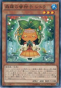 遊戯王カード　 EP14-JP022 森羅の蜜柑子 シトラ(ノーマル）遊戯王アーク・