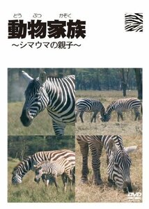 動物家族~アフリカ編~シマウマ [DVD]