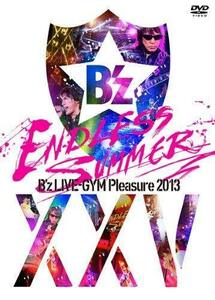 B'z LIVE-GYM Pleasure 2013 ENDLESS SUMMER-XXV BEST- [DVD]（中古品）